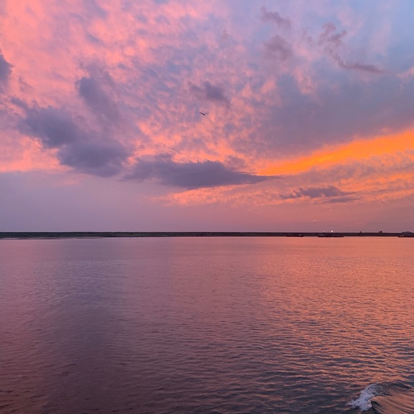 Meet your Posher, Shannon - Picture 1 of 1